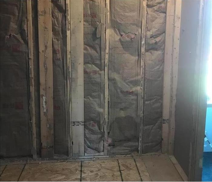 Mold Behind Bathroom Walls Before and After Photo